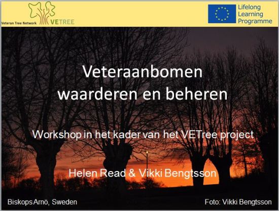 Screenshot basic workshop NL